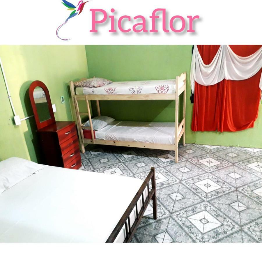 Alojamiento Picaflor Iguazu Hostel Puerto Iguazu Ngoại thất bức ảnh
